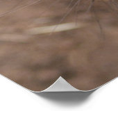 ウォンバットキス ポスター (角)