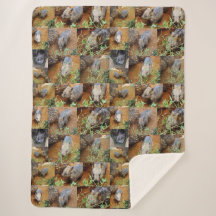 ウォンバットフォトコラージュ、