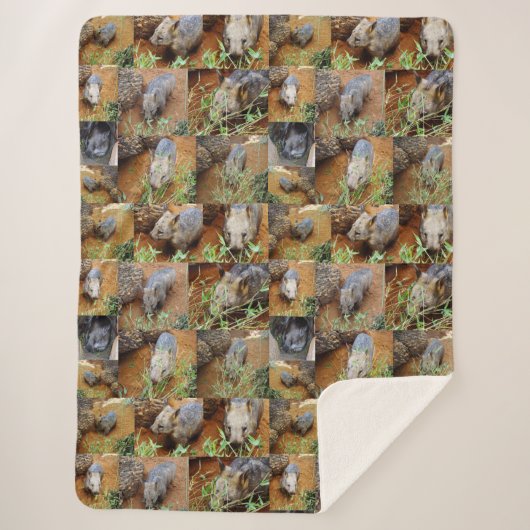 ウォンバットフォトコラージュ、 シェルパブランケット (正面)