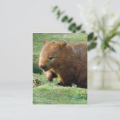 ウォンバット顔 ポストカード (スタンド正面)