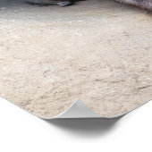 ウォンバット ポスター (角)