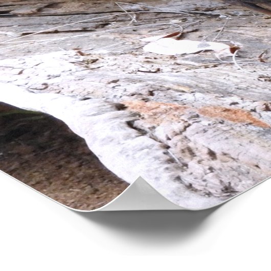 ウォンバット ポスター (角)