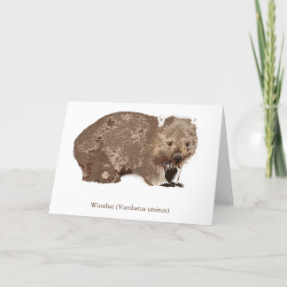 ウォンバット(Vombatus ursine) シーズンカード