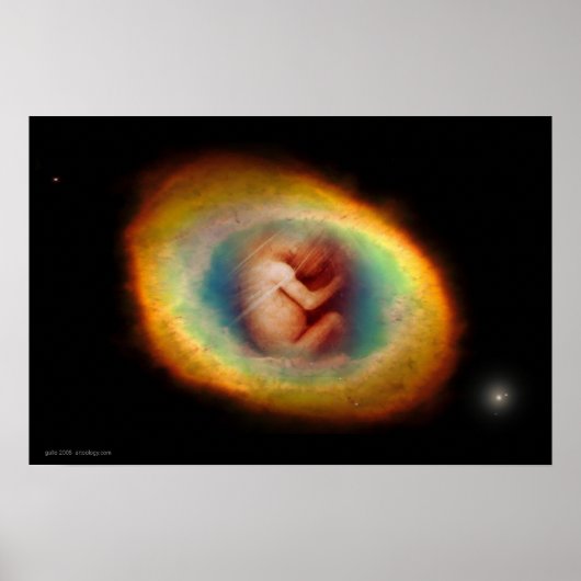 ウォンブバイグレゴリーガロ ポスター (正面)