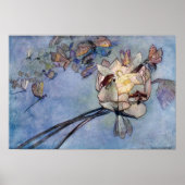 ウォーウィック・グローブの『花の精と蝶』 ポスター (正面)