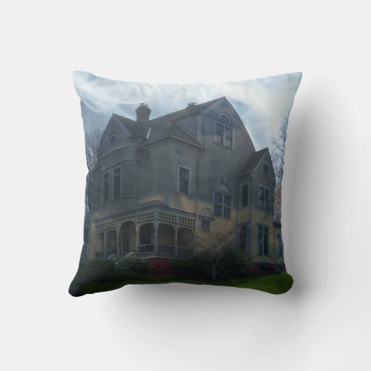 ウォーカーエイムズハウス枕 クッション (裏面)