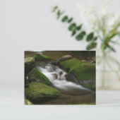 ウォーカー・クリーク葉書 ポストカード (スタンド正面)