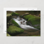 ウォーカー・クリーク葉書 ポストカード (正面/裏面)