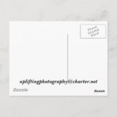 ウォーカー・クリーク葉書 ポストカード (裏面)