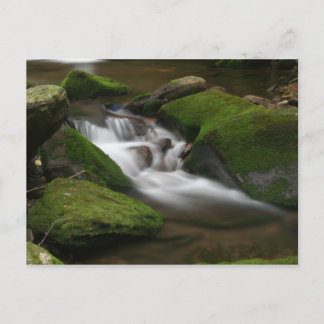 ウォーカー・クリーク葉書 ポストカード