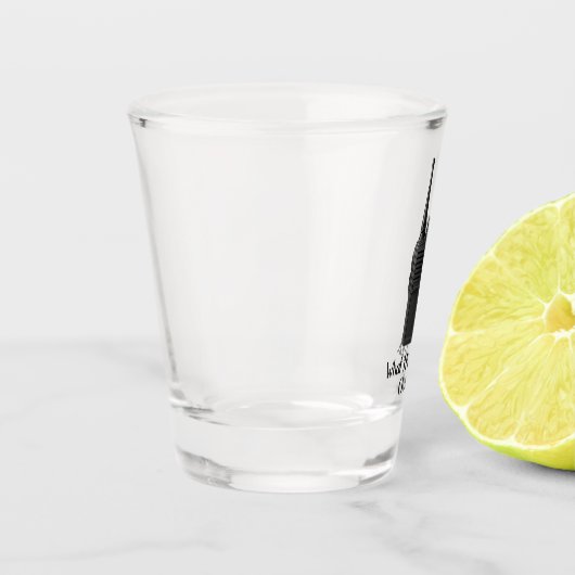 ウォーキー・トーキーのアイコンおもしろいの上のFu*k ショットグラス (左)