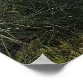 ウォークオンザビーチプリント ポスター (角)