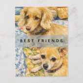 ウォータカラーの愛らしい2匹の犬のイラスト ポストカード (正面)