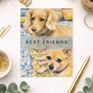 ウォータカラーの愛らしい2匹の犬のイラスト ポストカード