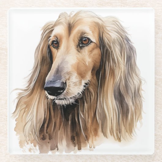 ウォーターかわいらしカラーアフガンハウンド顔 ガラスコースター (正面)
