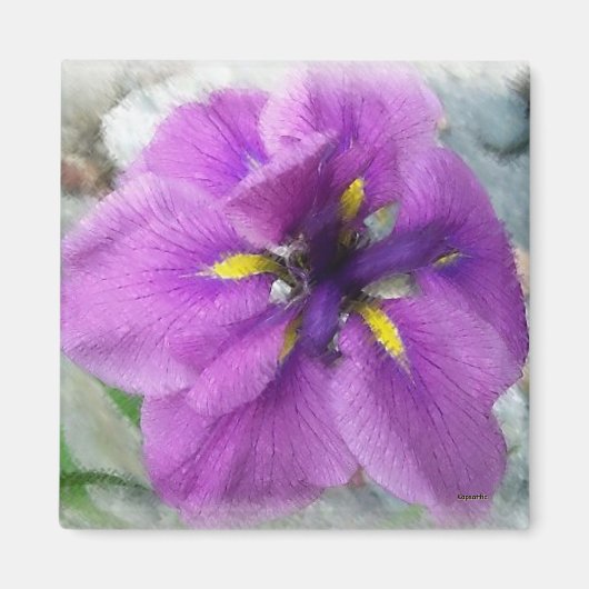 ウォーターアイリスII マグネット (正面)