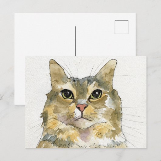 ウォーターカラーの猫 ポストカード (正面/裏面)