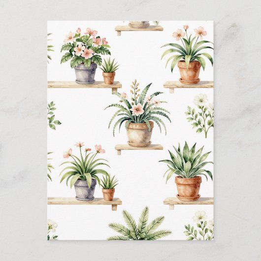 ウォーターカラーの鉢植え植物棚パターン ポストカード (正面)