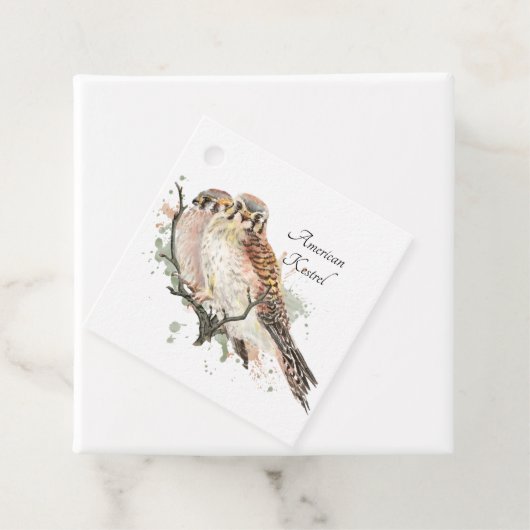 ウォーターカラーアート野鳥観察ケストレルカップル フェイバータグ (インサイチュ)