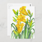 ウォーターカラーイエローデイリリーフローライラストレーション ポストカード (正面/裏面)