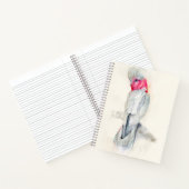 ウォーターカラーオペラコッカトゥー ノートブック (内部)