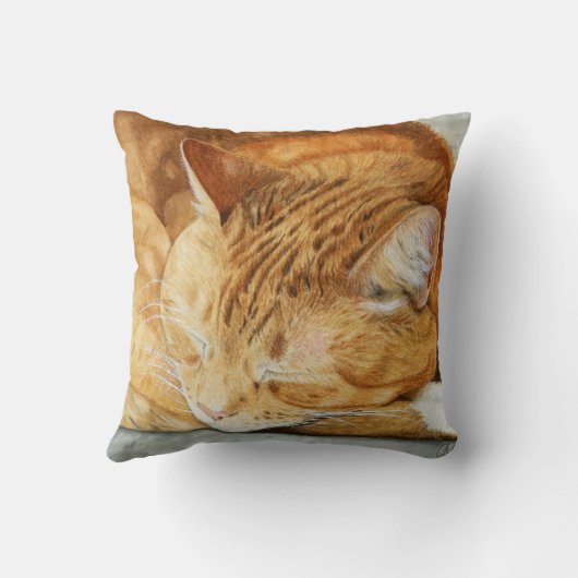 ウォーターカラージンジャーキャットスクエア装飾用クッション クッション (裏面)