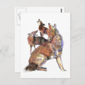 ウォーターカラーハウリングコヨーテスアニマル自然 ポストカード (正面/裏面)