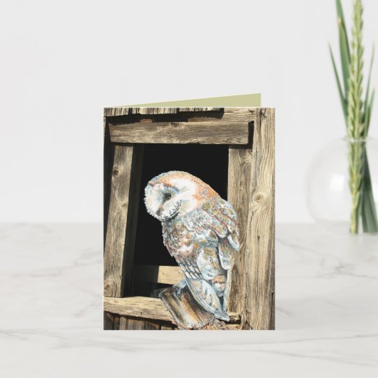 ウォーターカラーバーンドウル鳥自然ワイルドライフアート シーズンカード (正面)