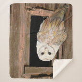 ウォーターカラーバーンドルフクロウ鳥野獣ナチュエアート シェルパブランケット (正面)