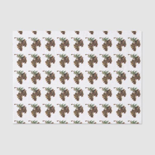 ウォーターカラーパインコーンティッシュペーパー 薄葉紙 (正面)