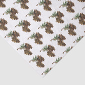 ウォーターカラーパインコーンティッシュペーパー 薄葉紙 (詳細)