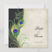 ウォーターカラーピーコックフェザーブラックダマスク招待状 招待状 (裏面)