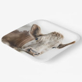 ウォーターカラーヘーフォードカウーポートレート ペーパープレート (傾斜あり)