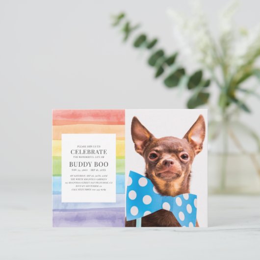 ウォーターカラーレインボーストライプペットメモリアル招待状 ポストカード (スタンド正面)