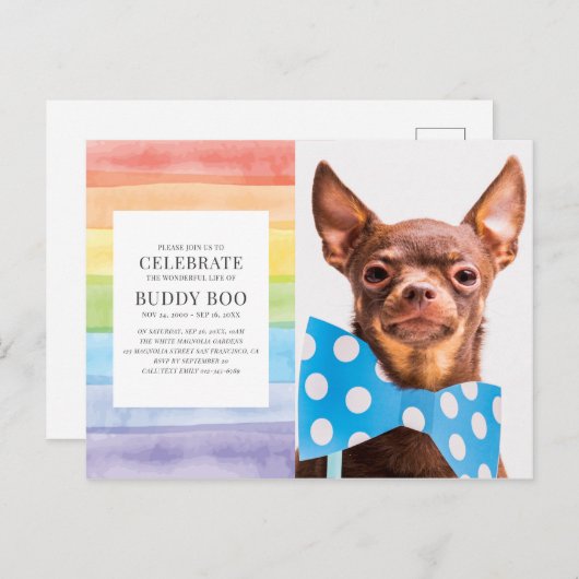 ウォーターカラーレインボーストライプペットメモリアル招待状 ポストカード (正面/裏面)