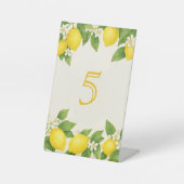 ウォーターカラーレモン誕生日 台座サイン (正面)