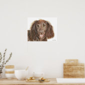 ウォーターカラー絵画 ワーキングコッカー・スパニエル 犬 ポスター (キッチン)