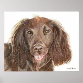 ウォーターカラー絵画 ワーキングコッカー・スパニエル 犬 ポスター