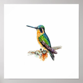 ウォーターカラー グリーン ハチドリ 絵画 ポスター