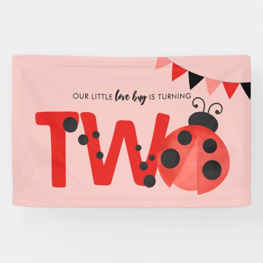 ウォーターカラー・タテガミテントウムシの2歳の誕生日 横断幕 (横)