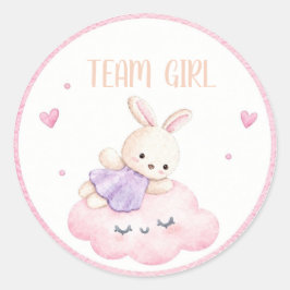 ウォーターカラー チーム 女の子 うさぎ ピンクの雲 GenderReveal ラウンドシール