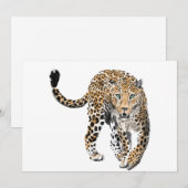 ウォーターカラー ヒョウ ジャングル 猫 ペイント 動物 緑 案内状 (正面/裏面)