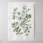 ウォーターカラー ユーカリの植物画アートプリント ポスター (正面)