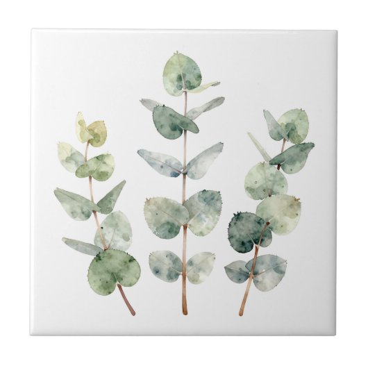 ウォーターカラー ユーカリの葉 植物画 タイル (正面)