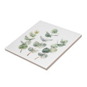 ウォーターカラー ユーカリの葉 植物画 タイル (側面)