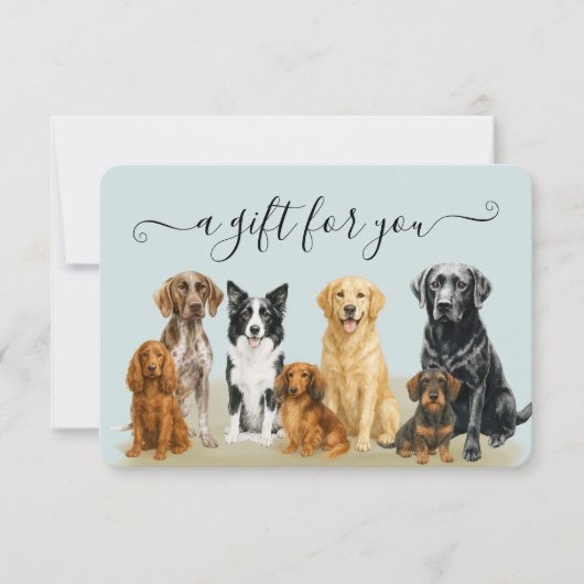 ウォーターカラー 犬のグルーミング ペットホテル 証明書 (正面)