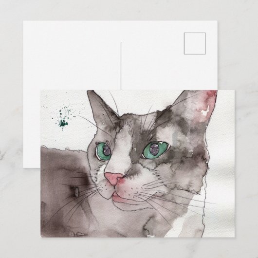 ウォーターカラー 猫 ポストカード (正面/裏面)