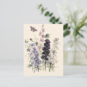 ウォーターカラー 紫, ピンクの庭の花, 蝶  ポストカード (スタンド正面)