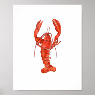 ウォーターカラー・赤いロブスター絵画・壁掛けアート ポスター