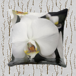 ウォータースクエアから出現するラン クッション